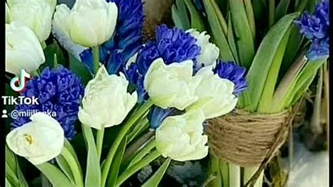 AUD 20210319 WA0002 LRC [03:40.08] .